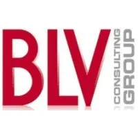 BLV CONSULTING GROUP SARL