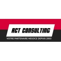 ACT CONSULTING
