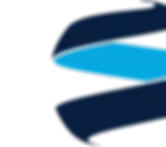 NEMO MARINE SERVICES (NEMO MARINE SERVICES)
