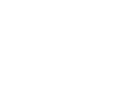 SARL ASF METAL