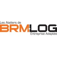 BRM LOG