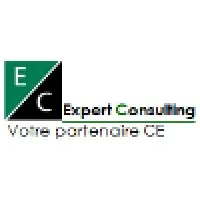 EXPERT CONSULTING