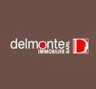 DELMONTE IMMOBILIER