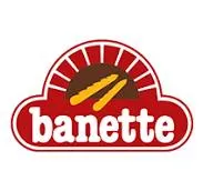 FAMILLE PUYBARET (banette)