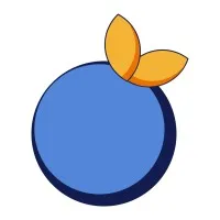 BLUE ORANGE INTERNATIONAL