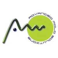 A.M.S. ADVANCED MOLD SOLUTIONS