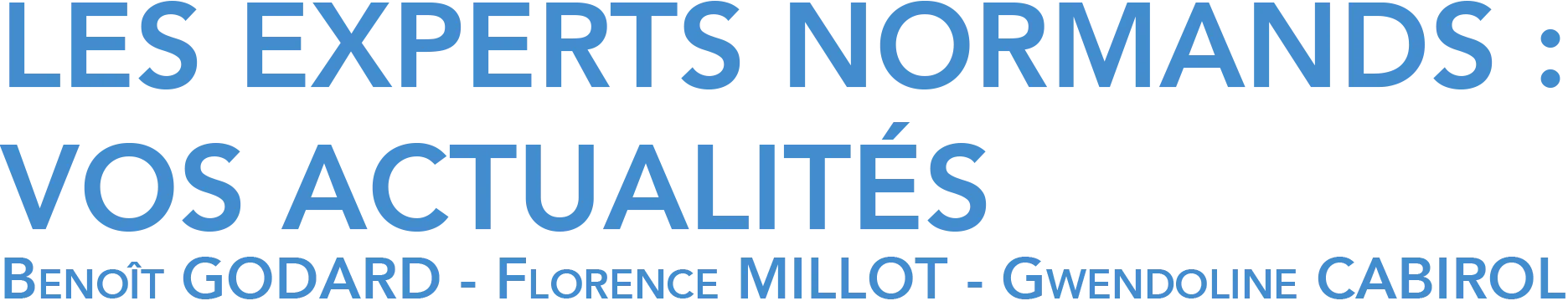 ALLIANCE EXPERTISE ET CONSEIL