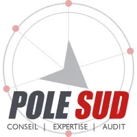 POLE SUD CASTRES (POLE SUD EXPERTISE)