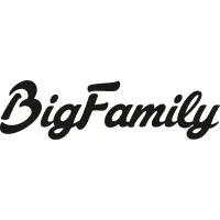 THE BIG FAMILY