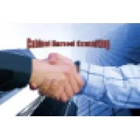 HAMOUI CONSULTING (CABINET HAMOUI CONSULTING)