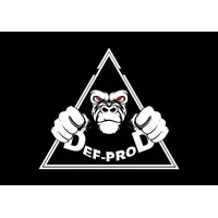 DEF-PROD MUSIC (SARL DEF-PROD)