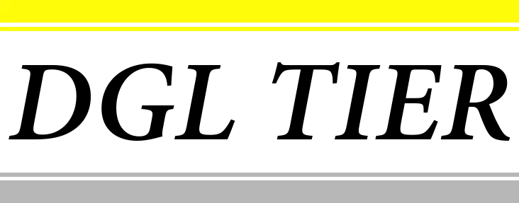 SARL D G L (TIER)