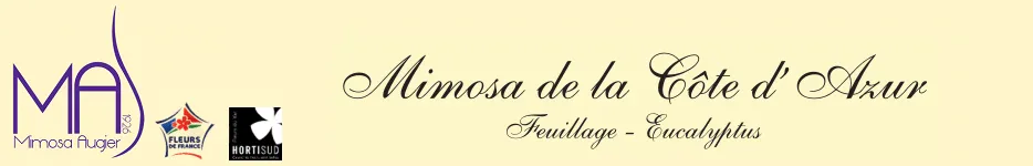 EARL MIMOSA AUGIER