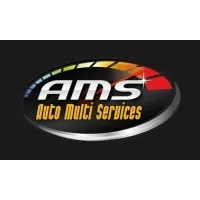 AUTO MULTI SERVICES (AMS)