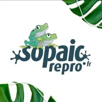 SOPAIC REPRO