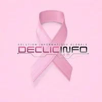 SARL DECLIC INFO (DECLIC INFO)