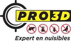 PRO-3D (PRO-3D)