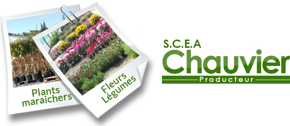 SCEA EXPLOITATION PRODUCTION CHAUVIER
