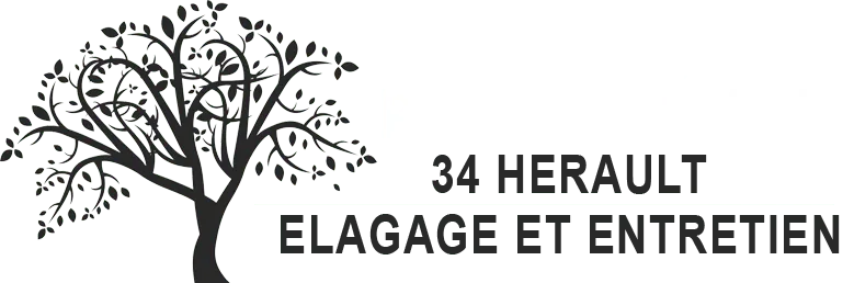 PETRY KEVIN