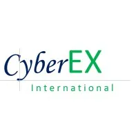 CYBEREX INTERNATIONAL