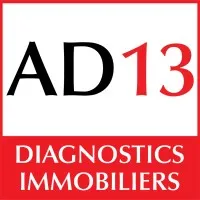 ACTIVE DIAG13