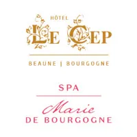 HOTEL LE CEP (HOTEL LE CEP VIEILLE DEMEURE)