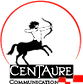 CENTAURE COMMUNICATION