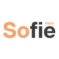 SOCIETE FRANCAISE D'INGENIERIE ELECTRIQUE (SOFIE)