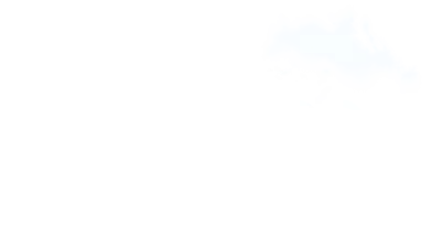 DIGITALE STRATEGIE (KOANN)