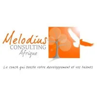 MELODIUS CONSULTING