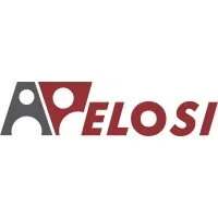 ETABLISSEMENTS ARTHUR PELOSI