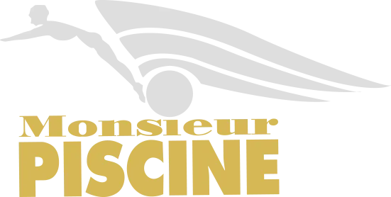 VILLAS SERVICES (MONSIEUR PISCINE SERVICE STATI)
