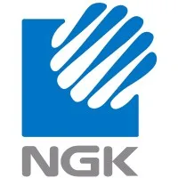 NGK BERYLCO FRANCE
