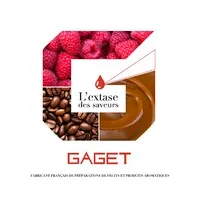 GAGET