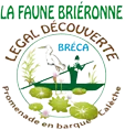 LA FAUNE BRIERONNE