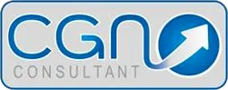 CGN CONSULTANT