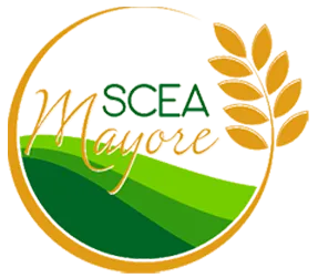 SCEA MAYORE (S.C.E.A.)