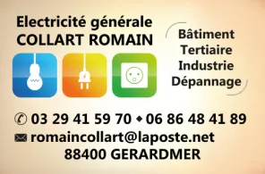 COLLART ROMAIN