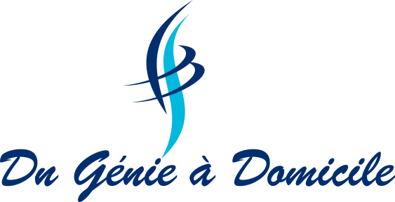 DU GENIE A DOMICILE