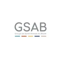 VPF BRETAGNE SUD (GSAB)