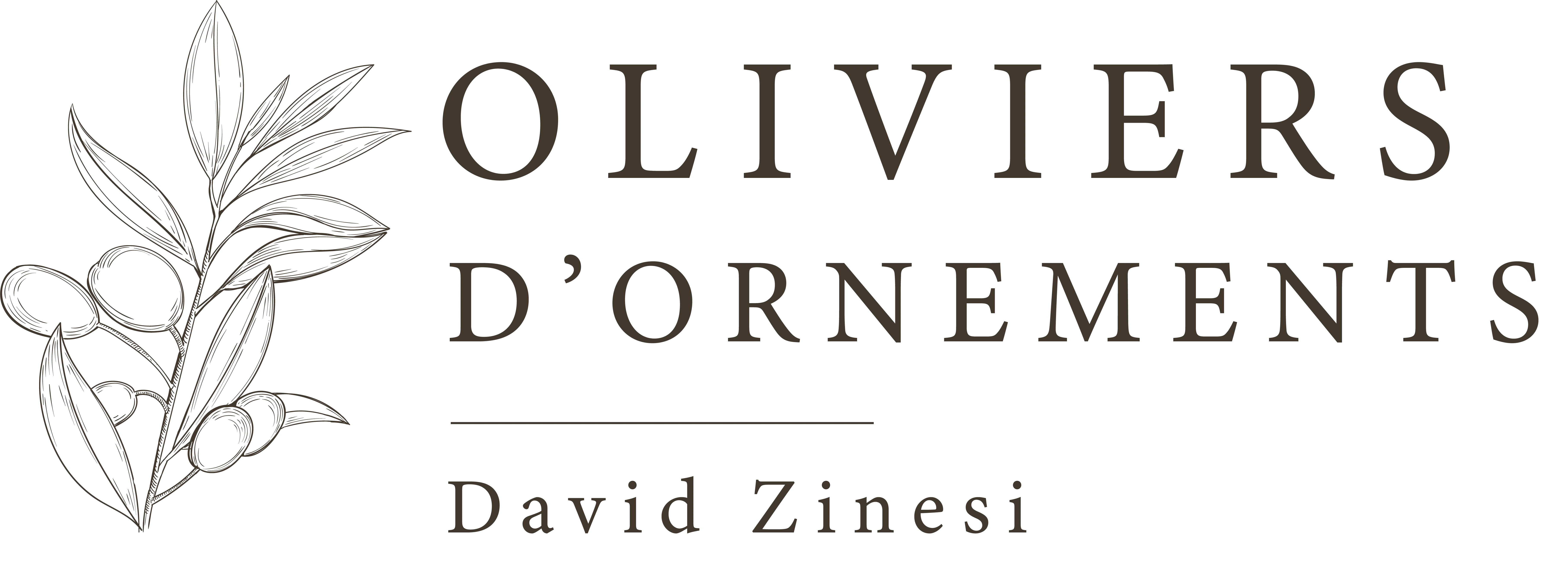 LES OLIVIERS DAVID ZINESI