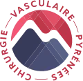 CABINET DE CHIRURGIE VASCULAIRE DES PYRENEES - CCVP