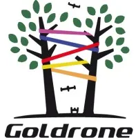 GOLDRONE