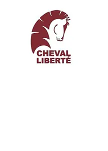 LES REMORQUES DU GRAND EST
