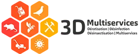 3D MULTISERVICES
