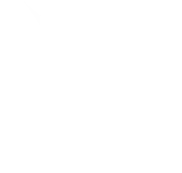LES VOILES BAIE DE QUIBERON