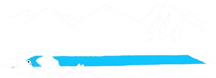 NG PISCINES