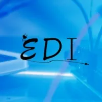 EDI ELECTRICITE DOMOTIQUE INFORMATIQUE