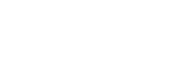 FELIX 13