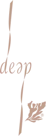 DEEP MV FRANCE